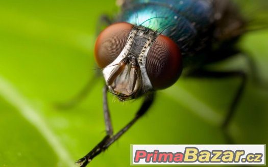 Canon EOS Makro Macro Adaptér Redukce Pro Canon 58mm 58 mm – fotografie 3