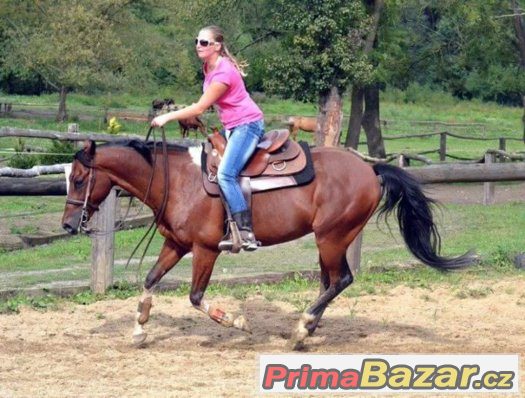 Boxové ustájení, trénink koní, výcvik jezdců, dojíždění – fotografie 2