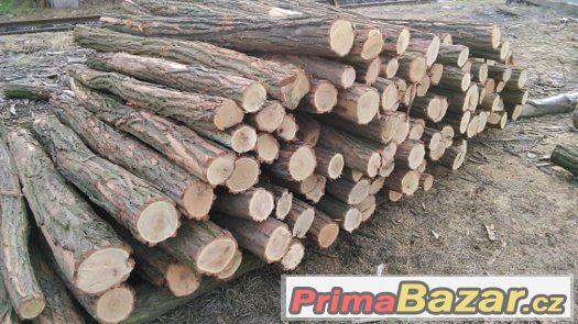 akátové kůly – fotografie 1