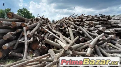 prodám 400ks dubových kůlů/sloupků - kulatinky na ohrady