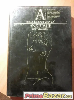 Anatomie pro výtvarníky