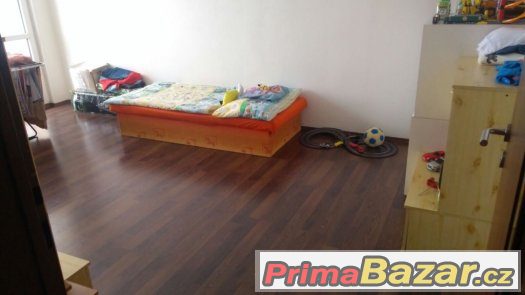Prodám družstevní byt 3+1 s nájemníkem, není podmínkou – fotografie 1