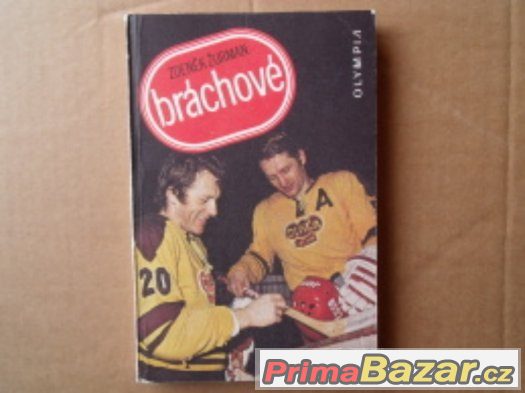 Bráchové /Jiří a Jaroslav Holík/ – fotografie 1