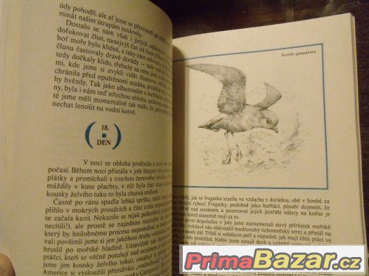 Přežili jsme v Pacifiku - Dougal Robertson – fotografie 4