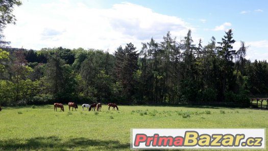 Ustájení koní 10km od Plzně, 60km od Prahy – fotografie 3