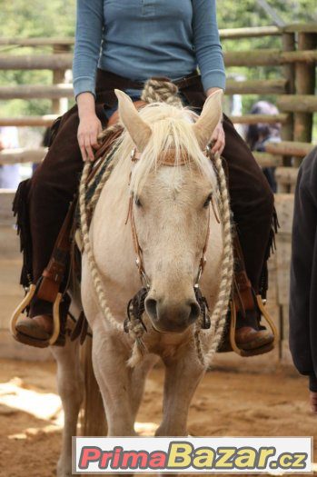 27. května 2917 - sobota - Horsemanship 3 kurz s Václavem Bo – fotografie 2