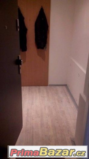Pronájem bytu 1+1 Teplice – Sobědruhy – fotografie 2