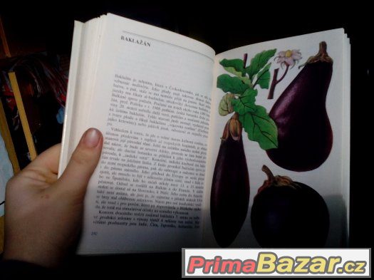 Prodám tuto knížku zelená kuchyně – fotografie 3