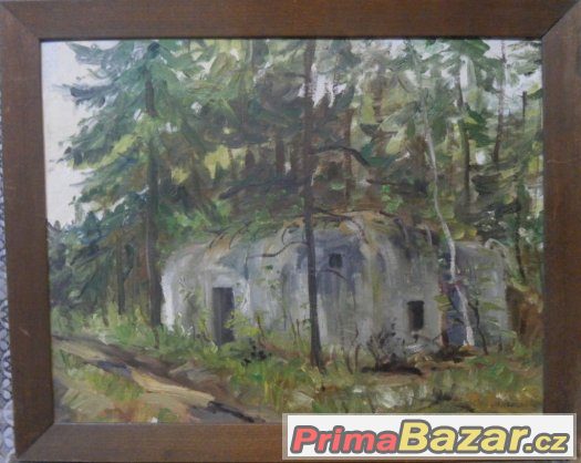 Zarostlý kryt - Ota Matoušek. – fotografie 1