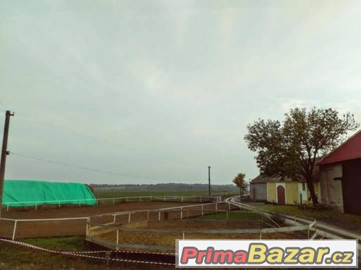 Ustájení Praha-západ- Holubice – fotografie 2