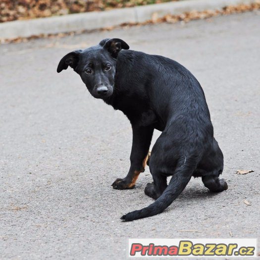 Bella a Charlie – fotografie 4