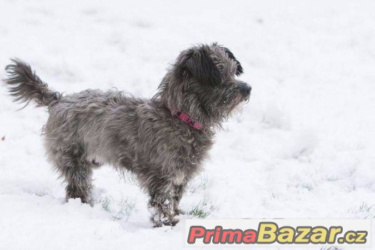 Betty – fotografie 3