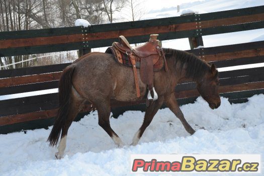 Pastevní ustájení v Chotěvicích, kurz Horsemanshipu 25.2. – fotografie 4