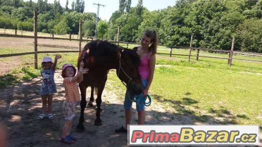 Jarní příměstský tábor u koní – fotografie 3