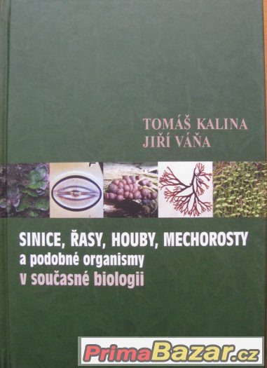 Kalina, Váňa-Sinice, řasy, houby, mechorosty – fotografie 1