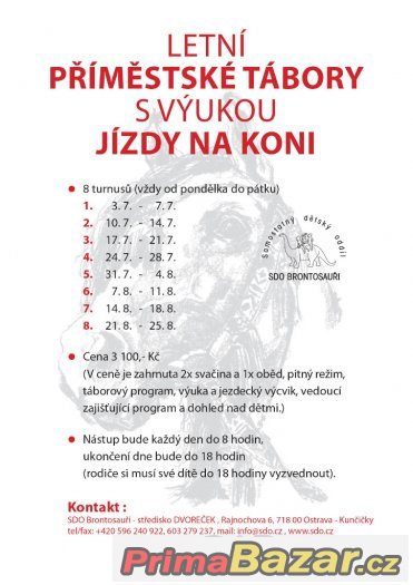 Prázdniny s koňmi v Ostravě – fotografie 1