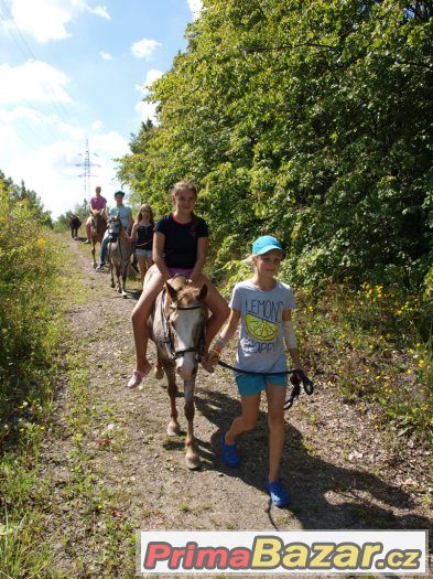 Prázdniny s koňmi v Ostravě – fotografie 4