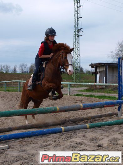 Přijímáme nové členy do Pony týmu – fotografie 1