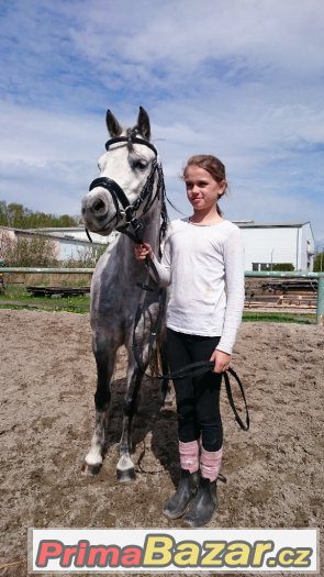 Přijímáme nové členy do Pony týmu – fotografie 2