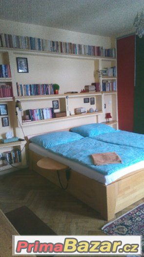 Milenecký azyl - privát, Mělník - Praha 30km – fotografie 2