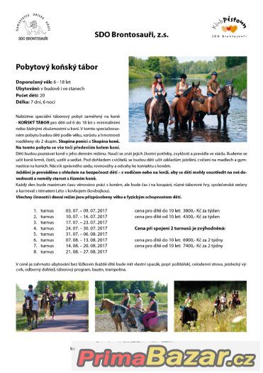 Prázdninové táborové pobyty u koní – fotografie 2
