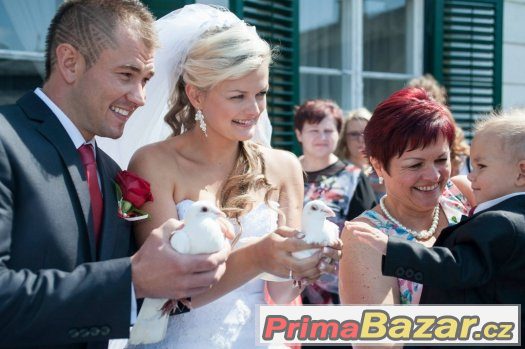 Svatebni holubi – fotografie 2
