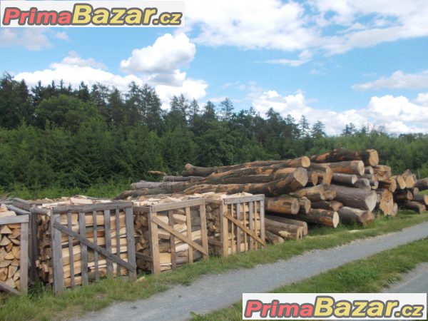 Tvrdé palivové dřevo – fotografie 10