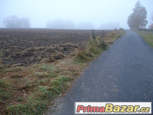 Pozemek - Jílové u Držkova – fotografie 1