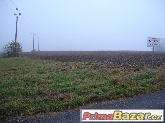 Pozemek - Jílové u Držkova – fotografie 2