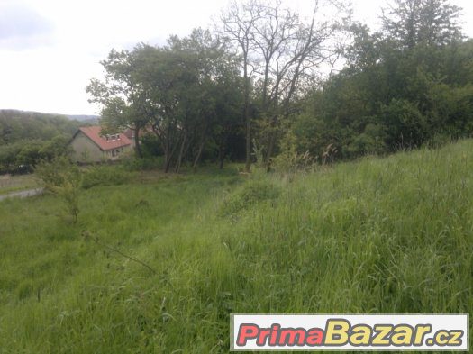 Velký pozemek na bydlení Vyškov-Rychtářov - 6943m2 – fotografie 1