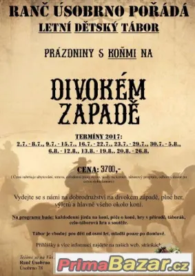 Letní tábory u koní