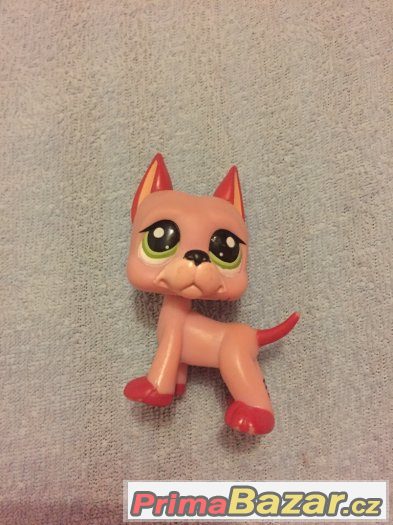 LPS DOGY PRODÁM SPĚCHÁ – fotografie 2