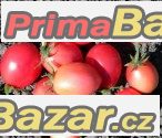 Rajče Thai pink egg - semena – fotografie 1