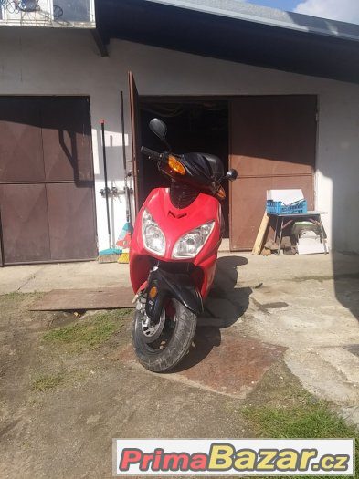 longjia ceasar 50 ( 70ccm) – fotografie 1