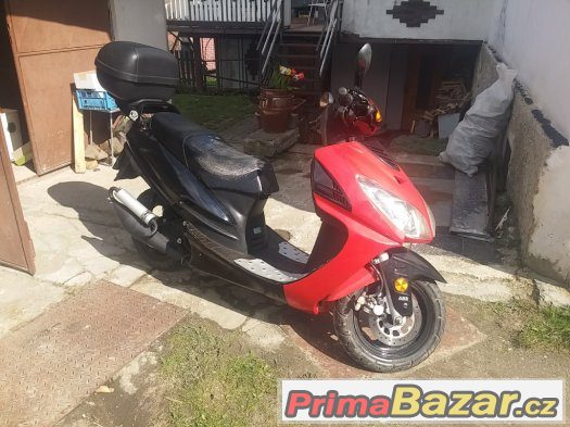 longjia ceasar 50 ( 70ccm) – fotografie 3