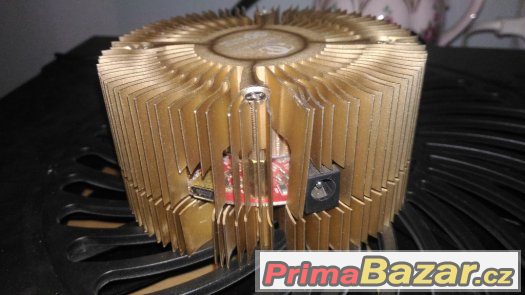 Gridseed – fotografie 2