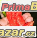 Chilli Big red  mojo - semena 19,- Kč – fotografie 1