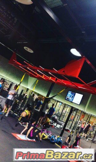 Stropní ručkovací žebříky, workout konstrukce a TRX – fotografie 2