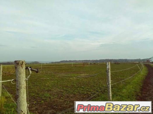 Ustájení Praha-západ- Holubice – fotografie 1