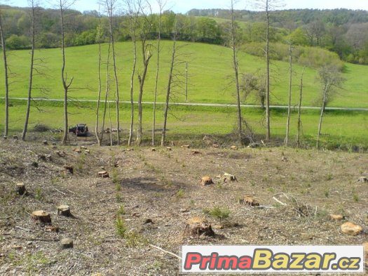 Prodej lesa k.ú Kańovice, 2422m² -, ev.č. 186 – fotografie 1