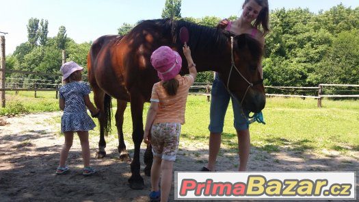 Příměstský tábor u koní 2017 – fotografie 4