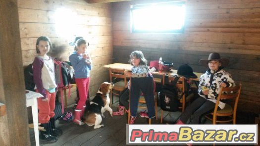 Příměstský tábor u koní 2017 – fotografie 5