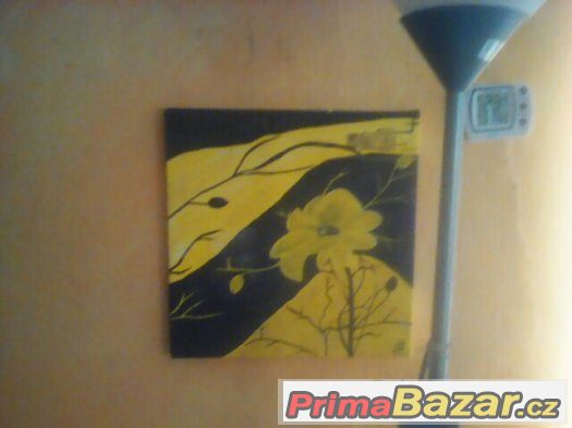 original obrazky a obrazi cenu nabidnete. – fotografie 2
