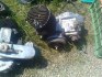 prodam motory
