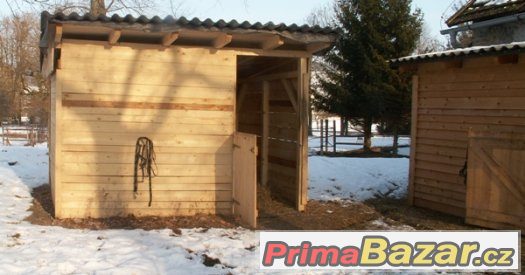Hledáme parťáky pro naše ušáky – fotografie 2