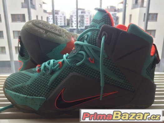 LeBron James XII – fotografie 1