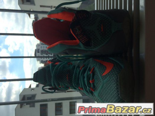 LeBron James XII – fotografie 2