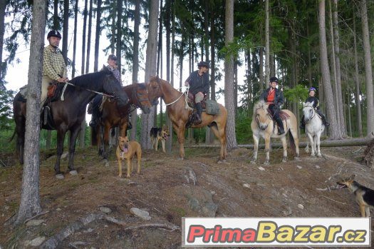 1.PŘÍRODNÍ JEZDECKÁ ŠKOLA - kURZY A VÝLETY NA KONÍCH – fotografie 1