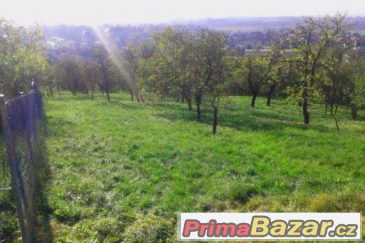 Stavební pozemek Židlochovice – fotografie 2