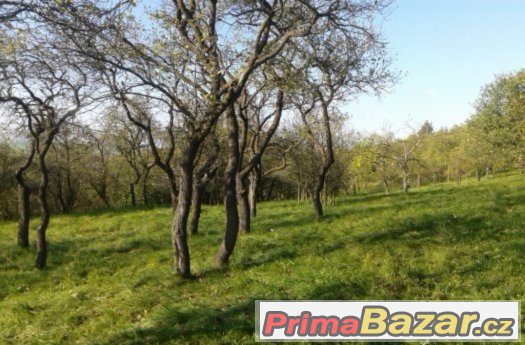 Stavební pozemek Židlochovice – fotografie 5